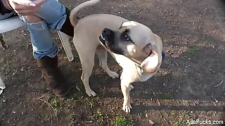 309 pornstar porn videos